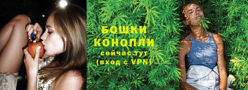 Марихуана White Widow  продажа наркотиков  Спасск-Рязанский 